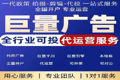 XX领域竞价广告的投放策略及效果展示